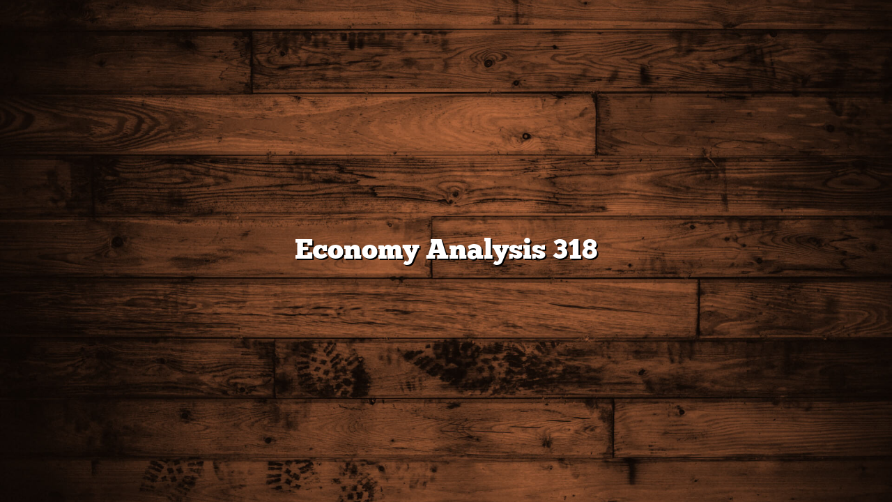 Economy Analysis 318