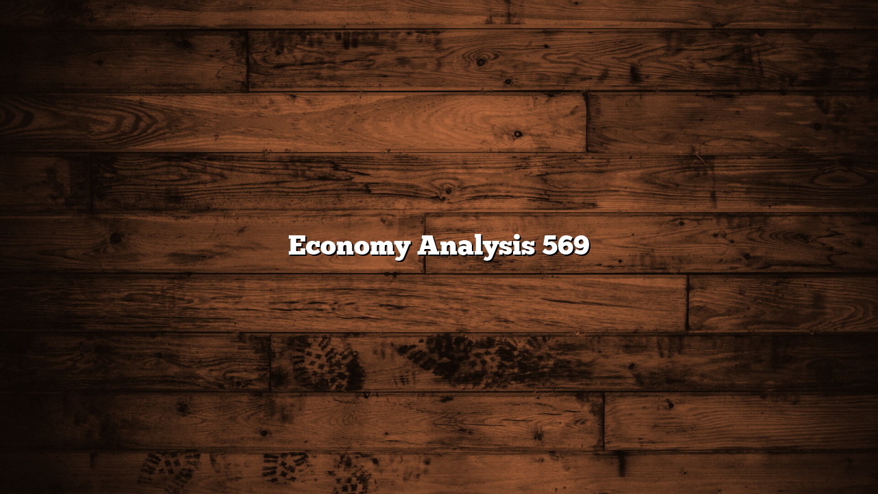 Economy Analysis 569